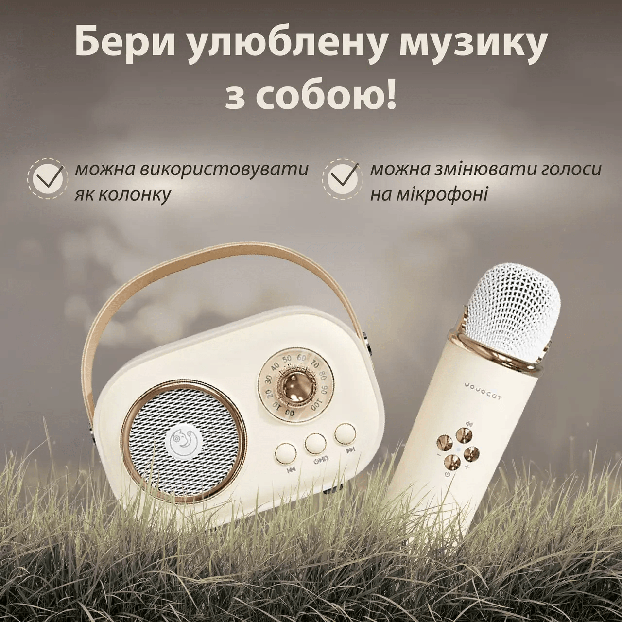Колонка портативна з мікрофоном C-20 BT/TF/USB/FM 5 Вт Рожевий_C20BE_Milantium_4